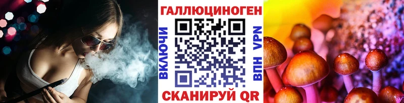 Галлюциногенные грибы Psilocybe  Трубчевск 