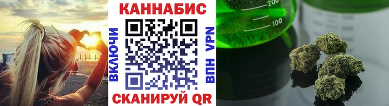 Конопля гибрид  Трубчевск 